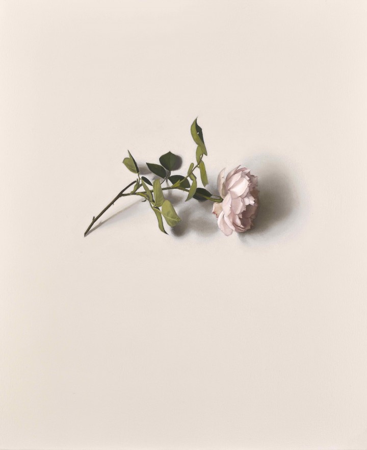 blog detail